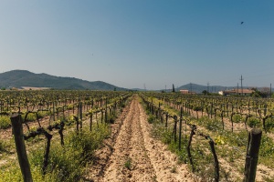 Navarra 3